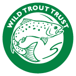 wild trout trust
